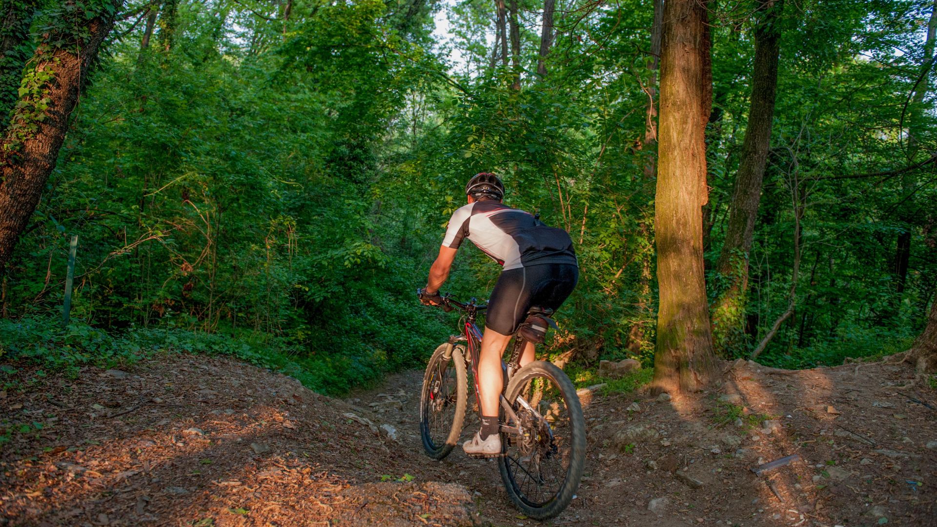 Explora el paisaje rural en bicicleta: recorridos por rutas naturales