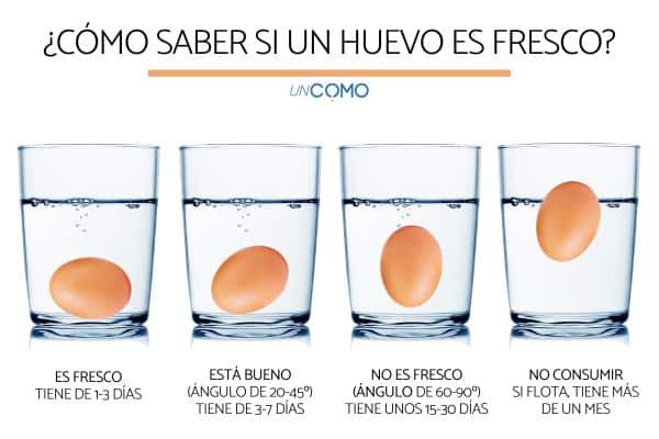 Desvelando el Misterio del Hilo Blanco en tus Huevos: ¿Saludable o Alarma? Guía para Identificar Huevos Frescos y Seguros