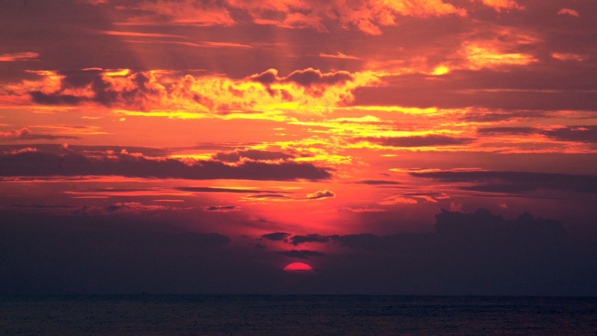 Descubre el poder de la meditación al amanecer