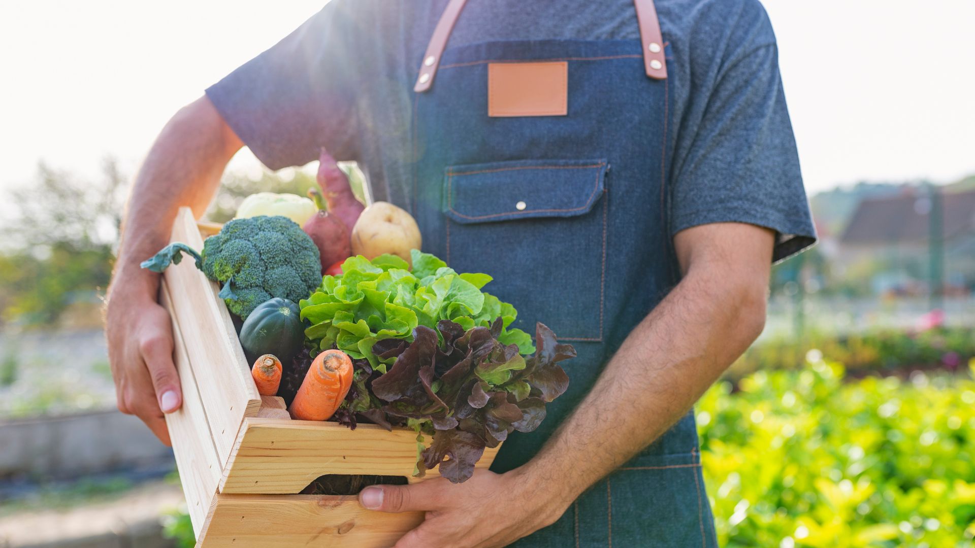 Los Beneficios de los Alimentos Orgánicos para la Salud y el Medio Ambiente