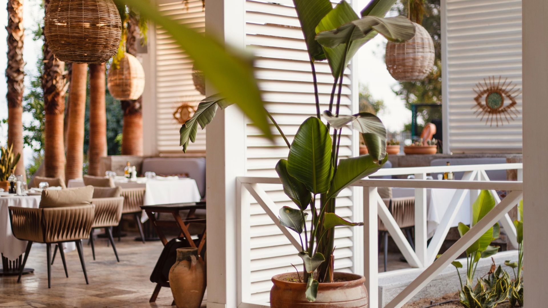 Atrévete a disfrutar la belleza de la naturaleza en tu hogar