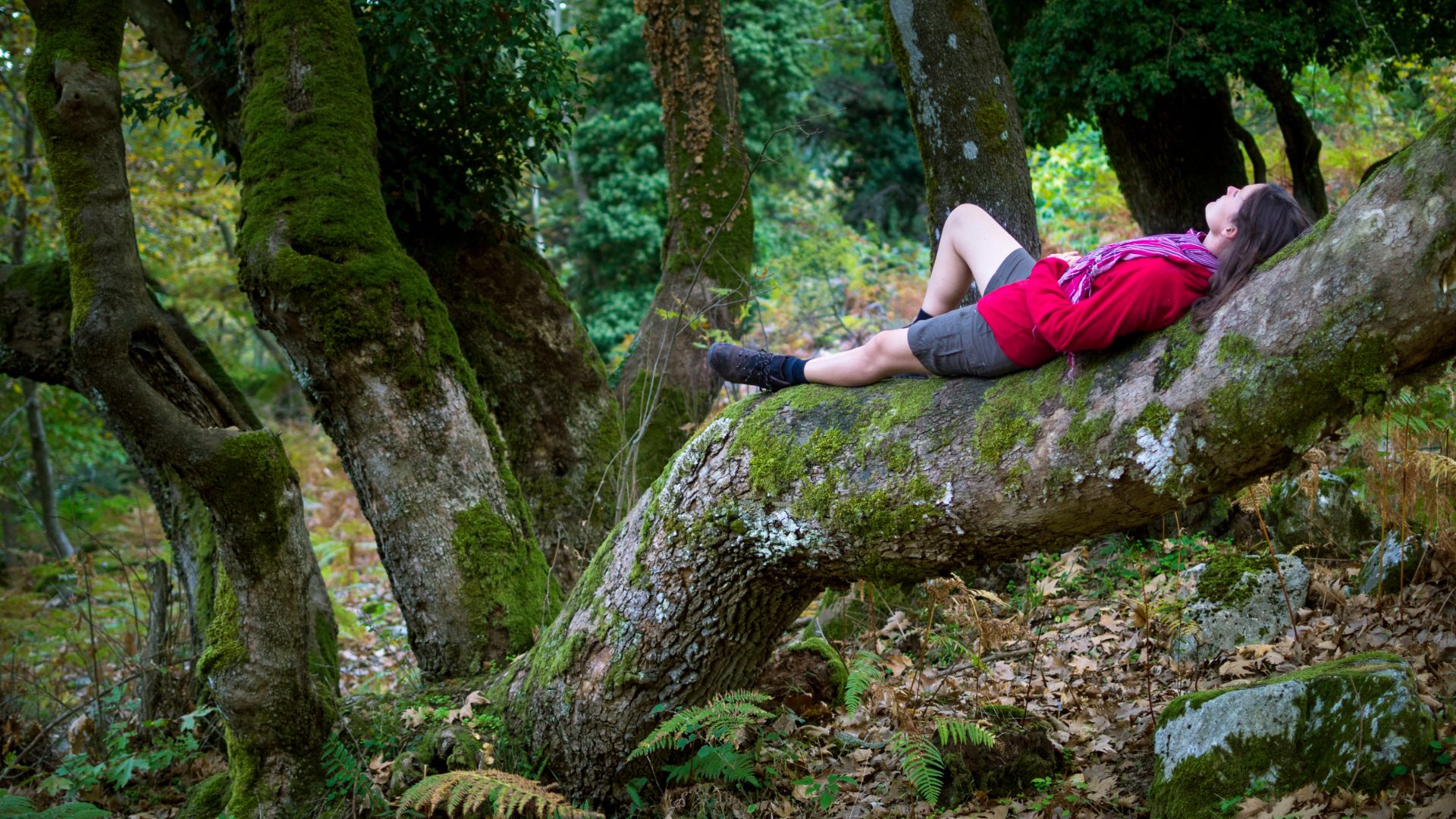 Descubriendo los beneficios de la meditación y la conexión con la naturaleza