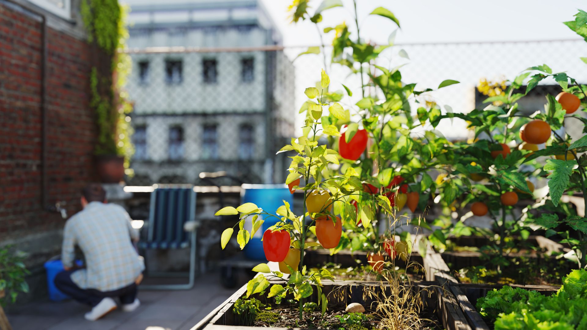 Huertos urbanos: agricultura sostenible en espacios reducidos