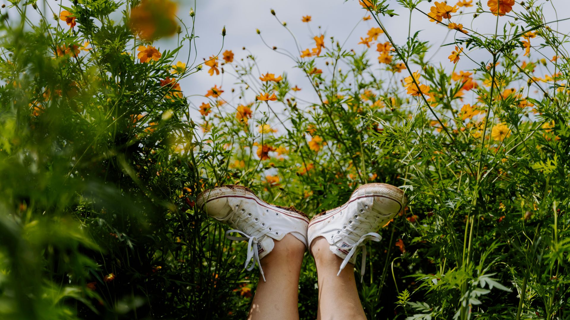 Viviendo al 100% Natural: Cómo Transformar tu Estilo de Vida