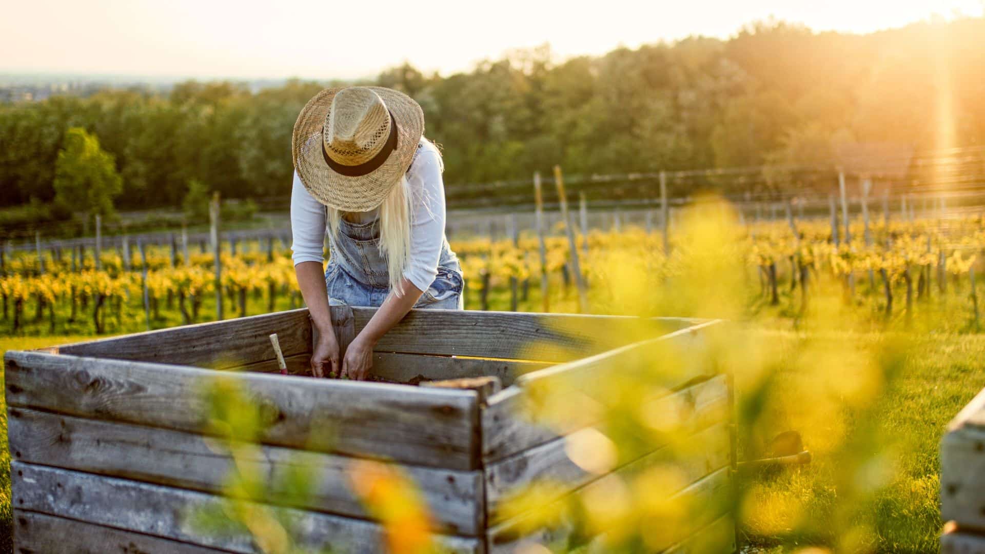 Los increíbles beneficios de la terapia hortícola